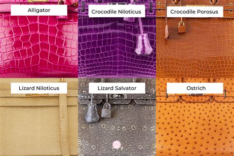 lizard skin hermes|The Ultimate Guide to Hermès Leathers and Skins.